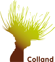 LOGO_Colland_FC